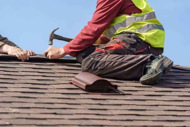 Best Roof Maintenance Services  in Chenoa, IL
