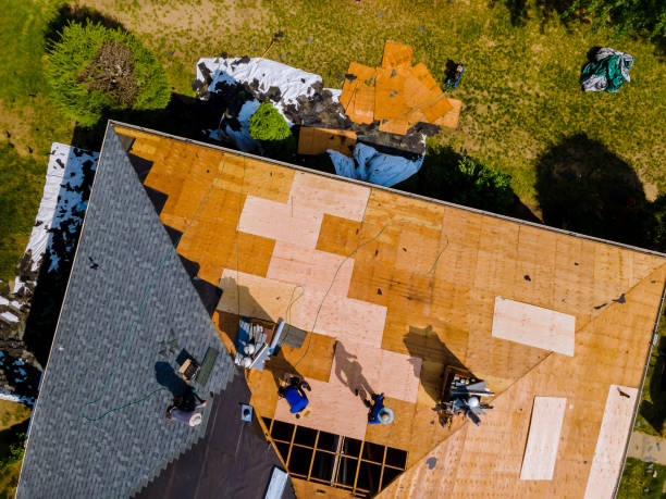 Best Residential Roofing Contractor  in Chenoa, IL