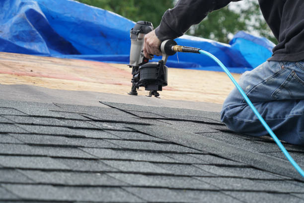 Best Storm Damage Roof Repair  in Chenoa, IL